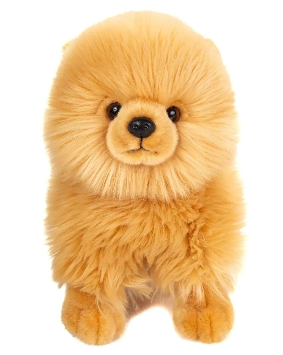 Peluche - Poméranien doré - 23 cm